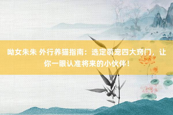 呦女朱朱 外行养猫指南：选定萌宠四大窍门，让你一眼认准将来的小伙伴！