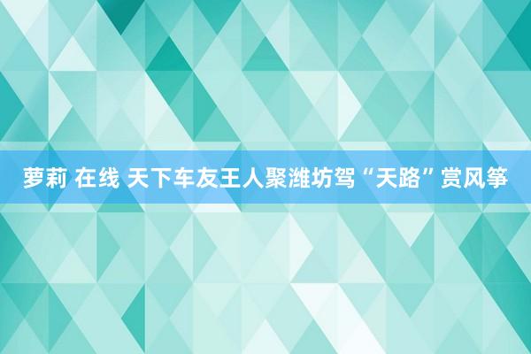 萝莉 在线 天下车友王人聚潍坊驾“天路”赏风筝