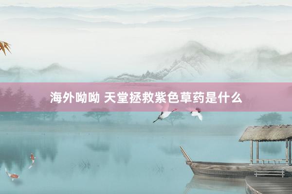 海外呦呦 天堂拯救紫色草药是什么