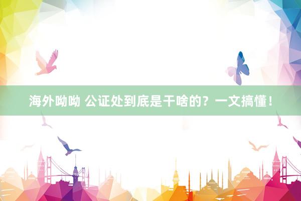 海外呦呦 公证处到底是干啥的？一文搞懂！